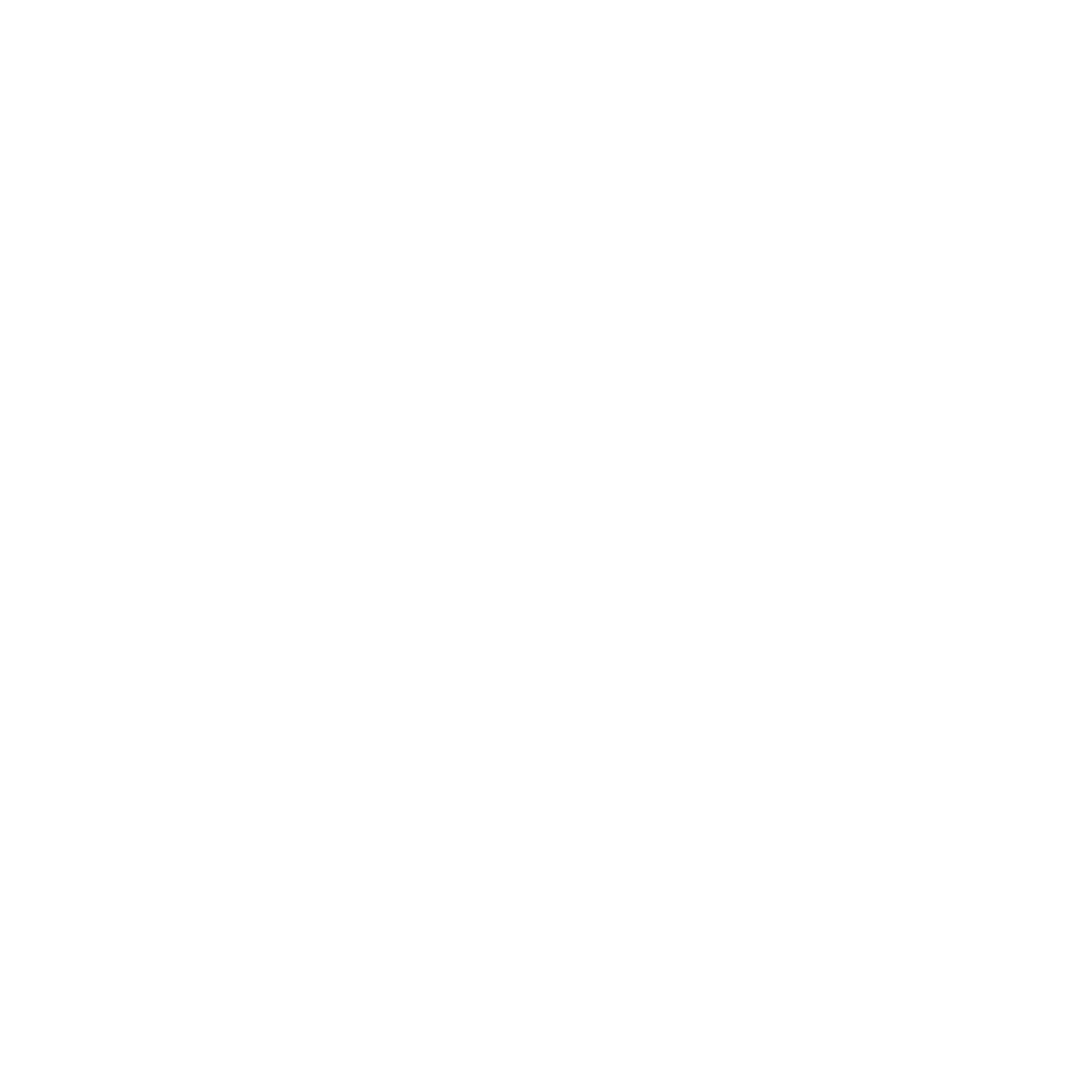 THE RAW HOUSE